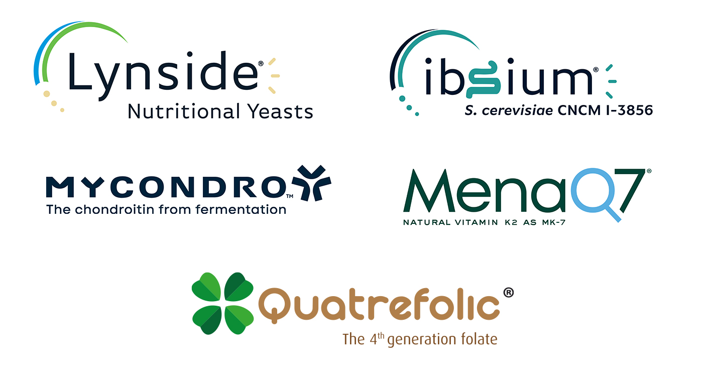 logos-gnosis-1 logos-gnosis-1